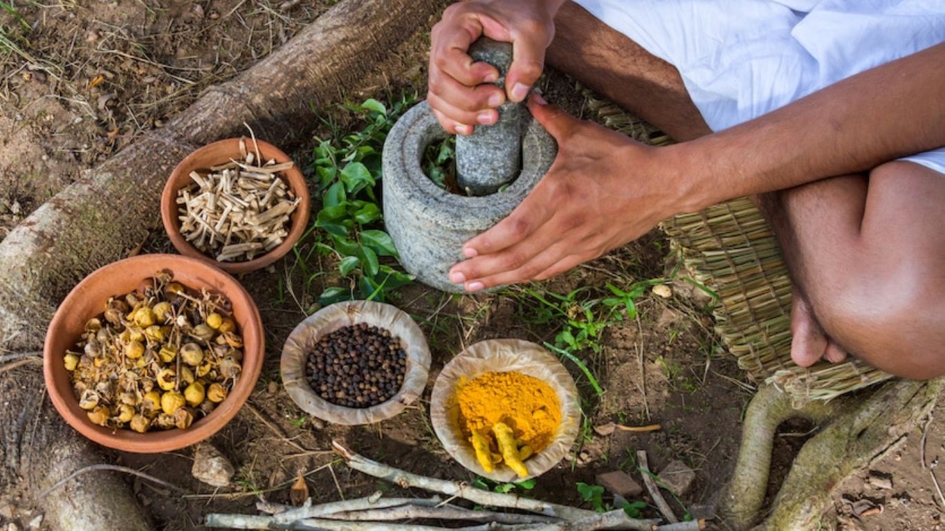 The Science Behind Ayurvedic Herbs and Their Benefits