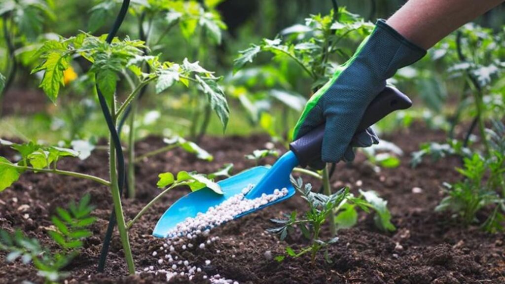 The Human Health Effects of Agricultural Chemicals: What You Need to Know