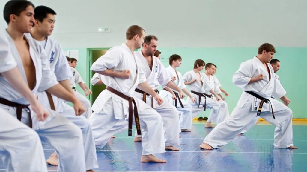 The Mind-Body Connection in Karate: A Holistic Approach to Health