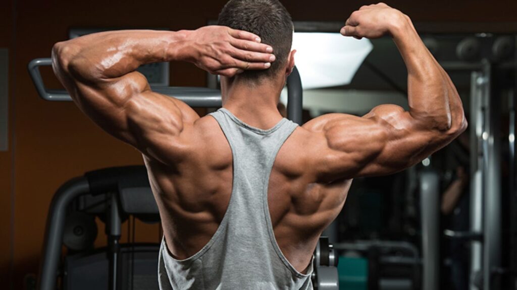 Debunking the Myth: Steroids and Instant Muscle Growth