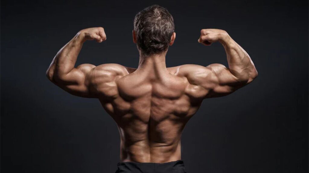 Debunking the Myth: Steroids and Instant Muscle Growth