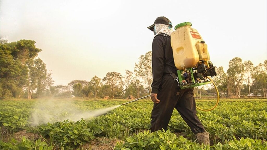 The Human Health Effects of Agricultural Chemicals: What You Need to Know