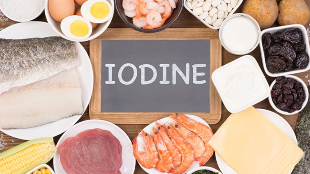 Iodine Deficiency Disorders: A Global Health Challenge