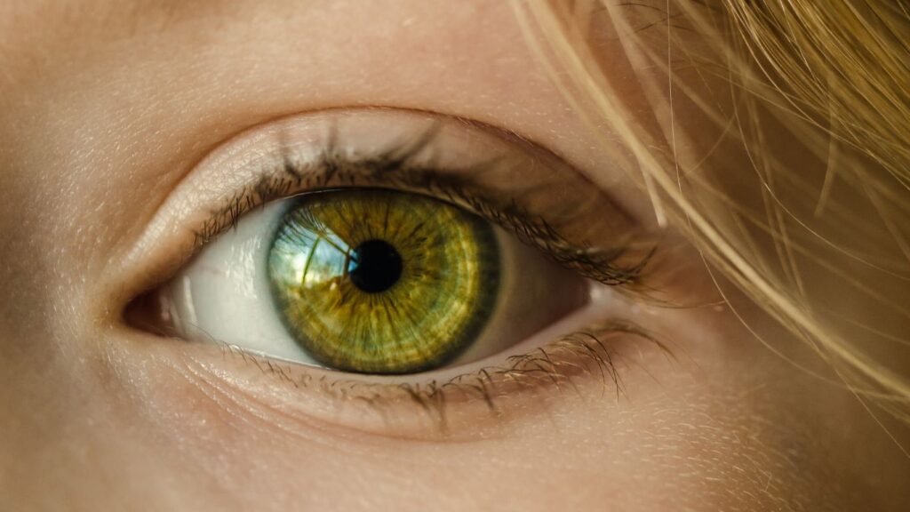 Nutrition for Eye Health: What to Eat for Good Vision