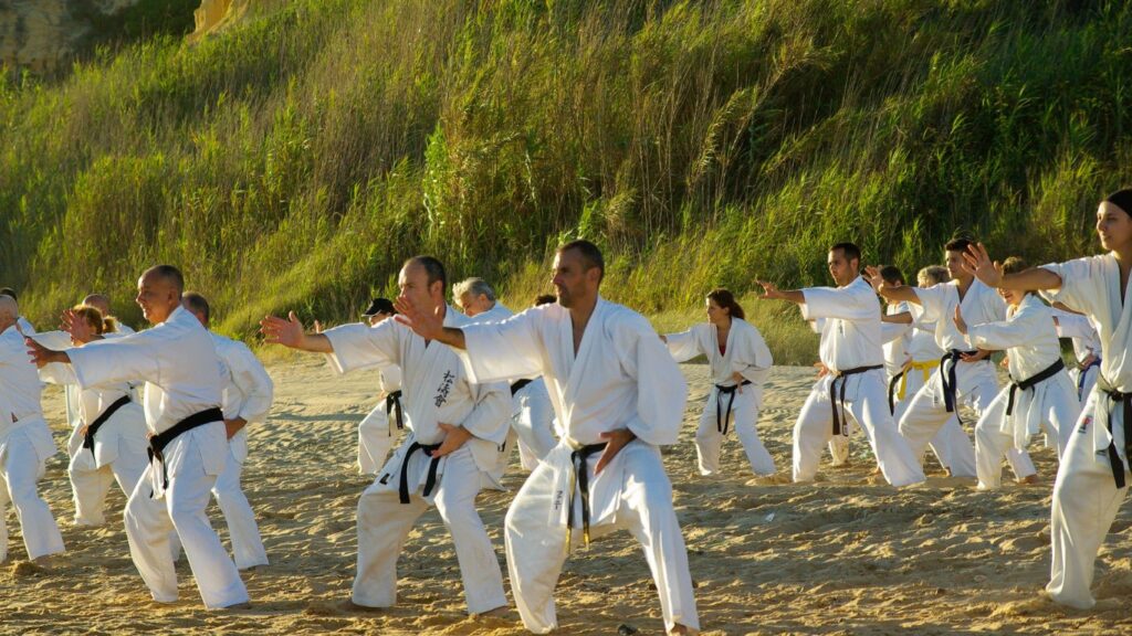 Beyond Self-Defense: Karate's Role in Promoting a Healthy Lifestyle