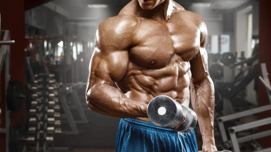 Breaking Down the Best Workouts for Each Muscle Group