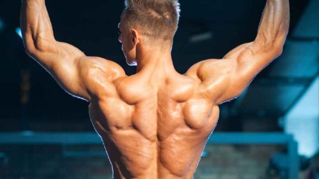 Essential Tips for Growing Your Lats Muscles: Recovery and Supplementation