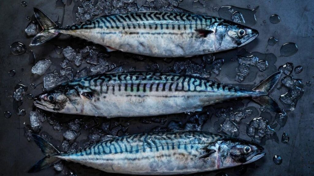 5 Fish That Are High in Vitamin B-12