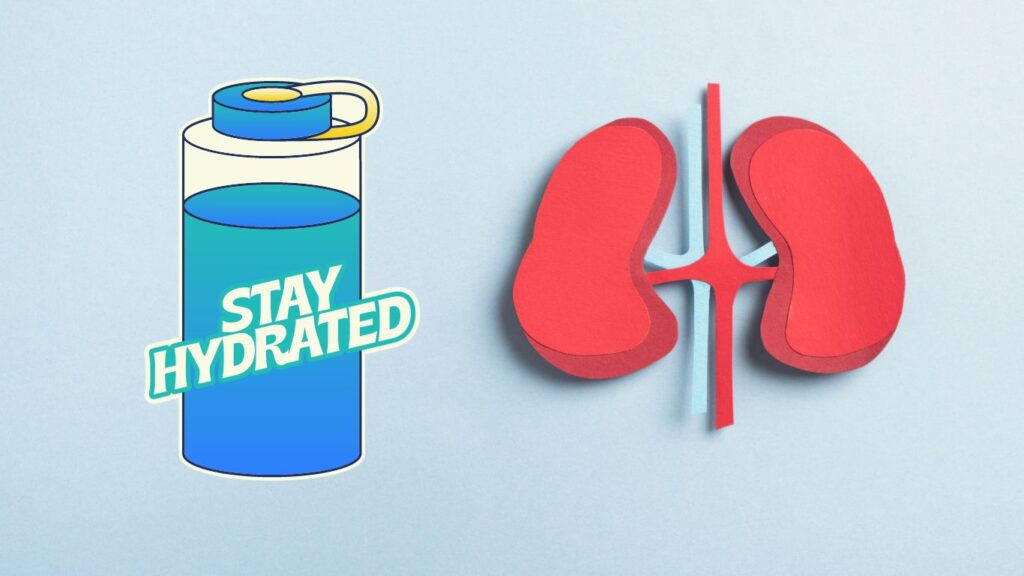 Heatwaves and Hydration: Their Crucial Impact on Kidney Health