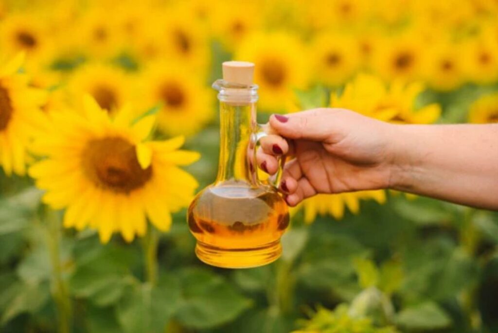 The Nutritional Breakdown of Sunflower Oil: What Makes it a Healthy Option?