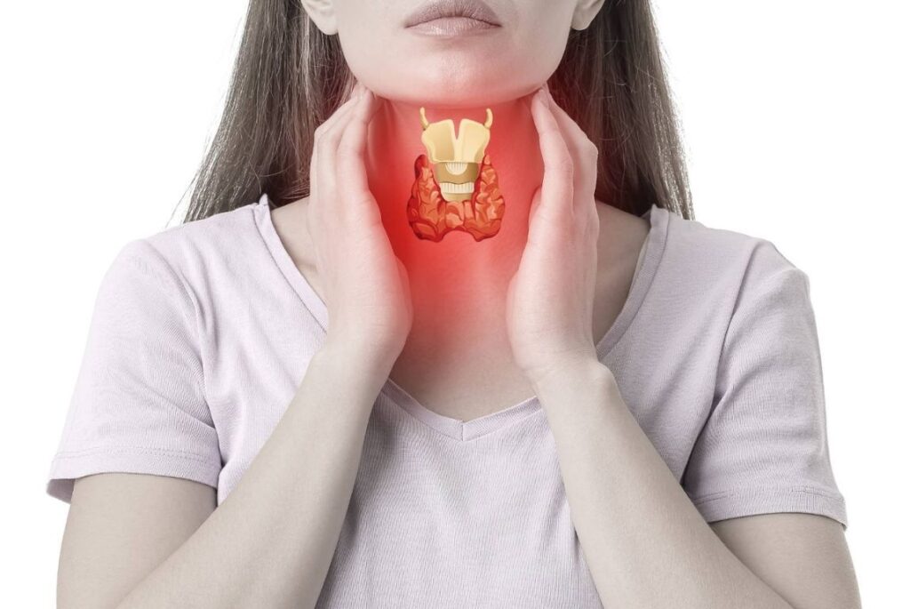 Selenium and Thyroid Health: Understanding The Connection