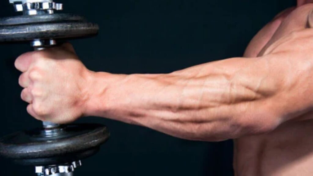 The Impact of Strong Forearm Muscles on Preventing Injuries in Fitness Training