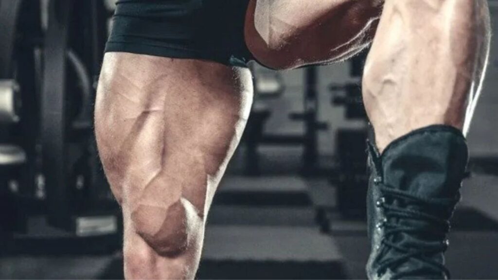 How to Maximize Your Leg Day: Tips for Beginners and Advanced Lifters