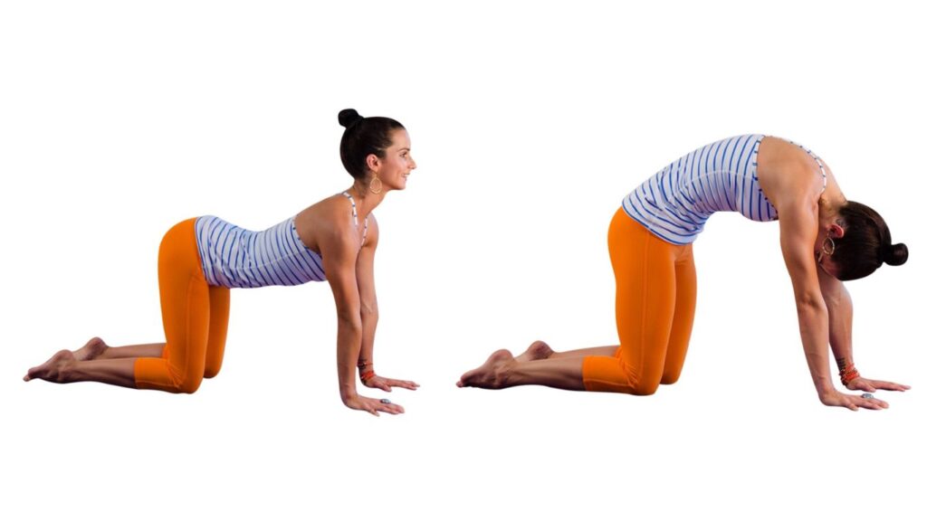 Yoga and Stretching Exercises to Strengthen Your Spine