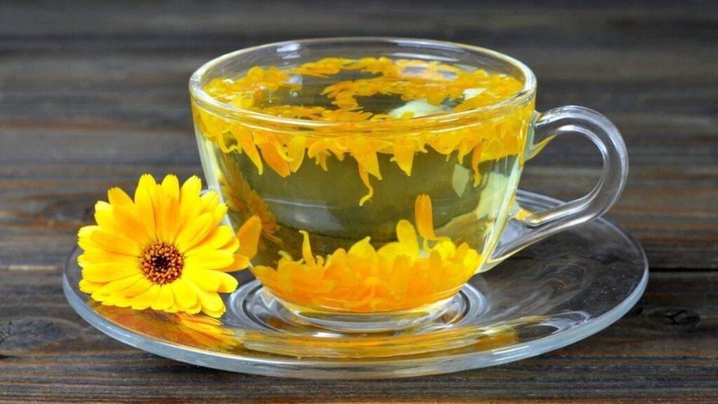 Calendula: Nature’s Remedy for Skin, Inflammation, and Beyond